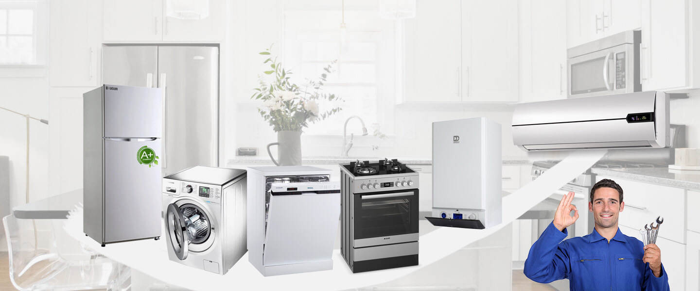 Aybastı Smeg Servisi